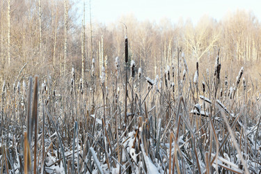 Similar image 13000036