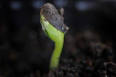 Similar image 12980964