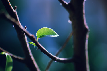 Similar image 12997626