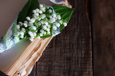 Similar image 12981142