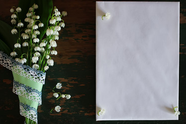 Similar image 12997588