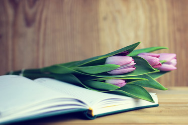 Similar image 12697313