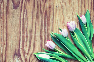 Similar image 12697510