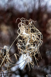 Similar image 12980794