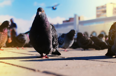 Similar image 12999600