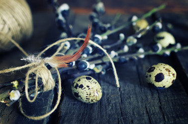 Similar image 12981166