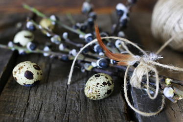 Similar image 12981185