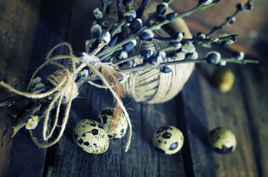 Similar image 12981205