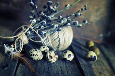 Similar image 12981225