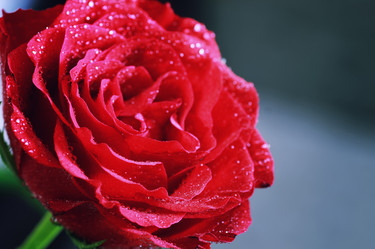 Similar image 12997690