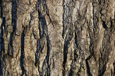 Similar image 12999580