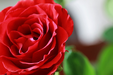 Similar image 13000040