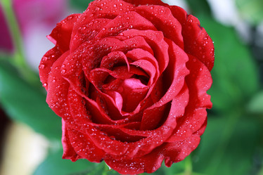 Similar image 12999601