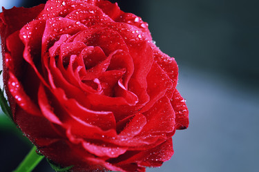 Similar image 12999641