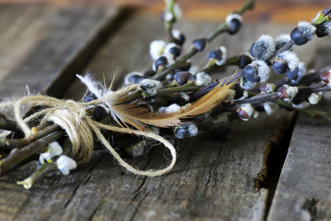 Similar image 12999661