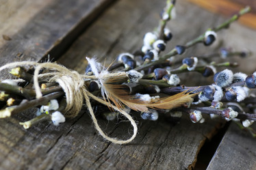 Similar image 12999746