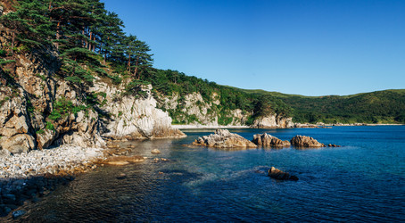 Similar image 12981411