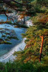 Similar image 12981428