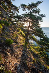 Similar image 12981434