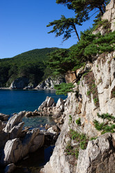 Similar image 12981436