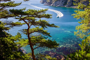 Similar image 12981438