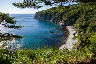 Similar image 12981439