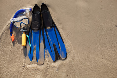 Similar image 12981443