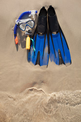 Similar image 12981444