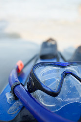 Similar image 12981449