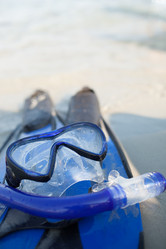 Similar image 12981450