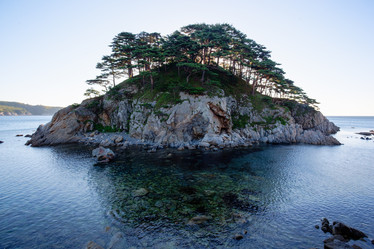 Similar image 12981458