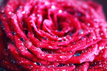 Similar image 12696987