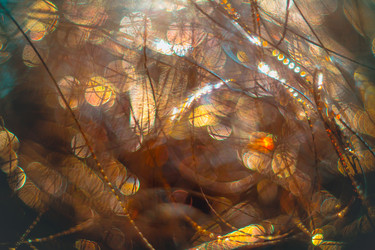 Similar image 12695359