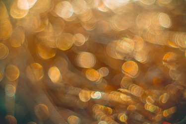 Similar image 12695361