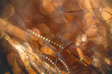 Similar image 12695363