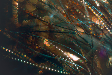 Similar image 12695364