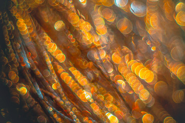 Similar image 12695365