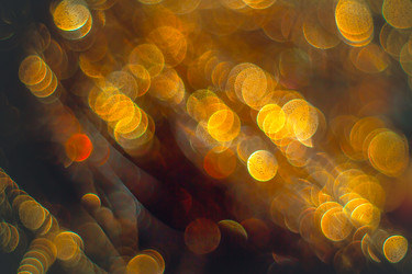 Similar image 12695366