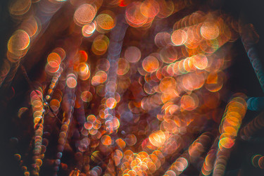 Similar image 12695368