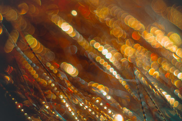 Similar image 12695376