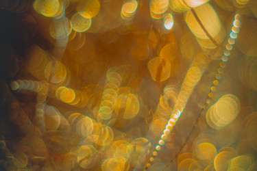 Similar image 12695378