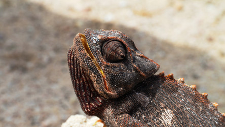 Similar image 12987314