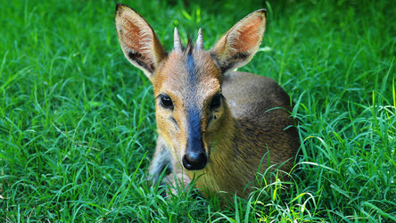 Similar image 12987294