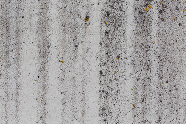 Similar image 12982549