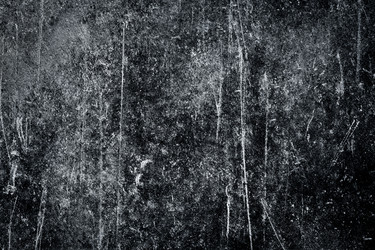 Similar image 12982590