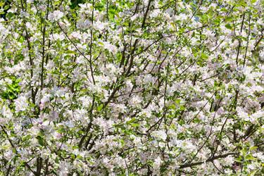 Similar image 12982631