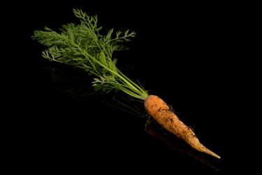 Similar image 12982649