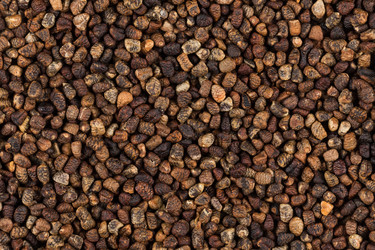 Similar image 12982725