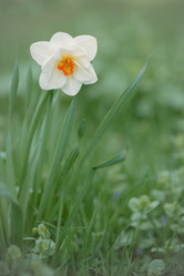 Similar image 12695104