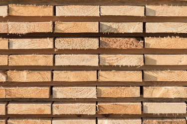 Similar image 12981229